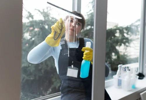 Nettoyage de vitres intérieures et extérieures à Bouffry
